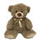Peluche éducative Toy Teddy Bear Stuffed Animal de pouce LED de la fonction 11,8
