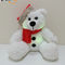 Noël LED allumant l'ours de peluche avec le jouet de peluche d'enfants d'ours de Santa Hat Kids Gift LED