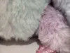 Enregistrement et répétition Sloth de teinture de cravate de couleurs vives Plush Toy Sloth qui peut parler
