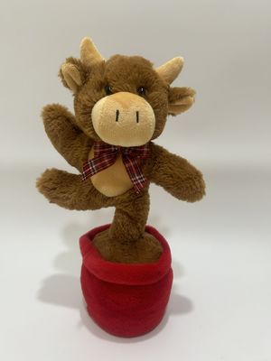 La vache des hautes terres qui chante et danse