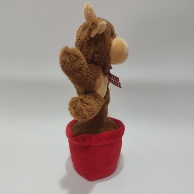 La vache des hautes terres qui chante et danse