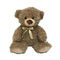 la peluche Toy Giant Bear Stuffed Animals de 0.3M 0.98ft LED et les jouets de peluche apaisent le cadeau